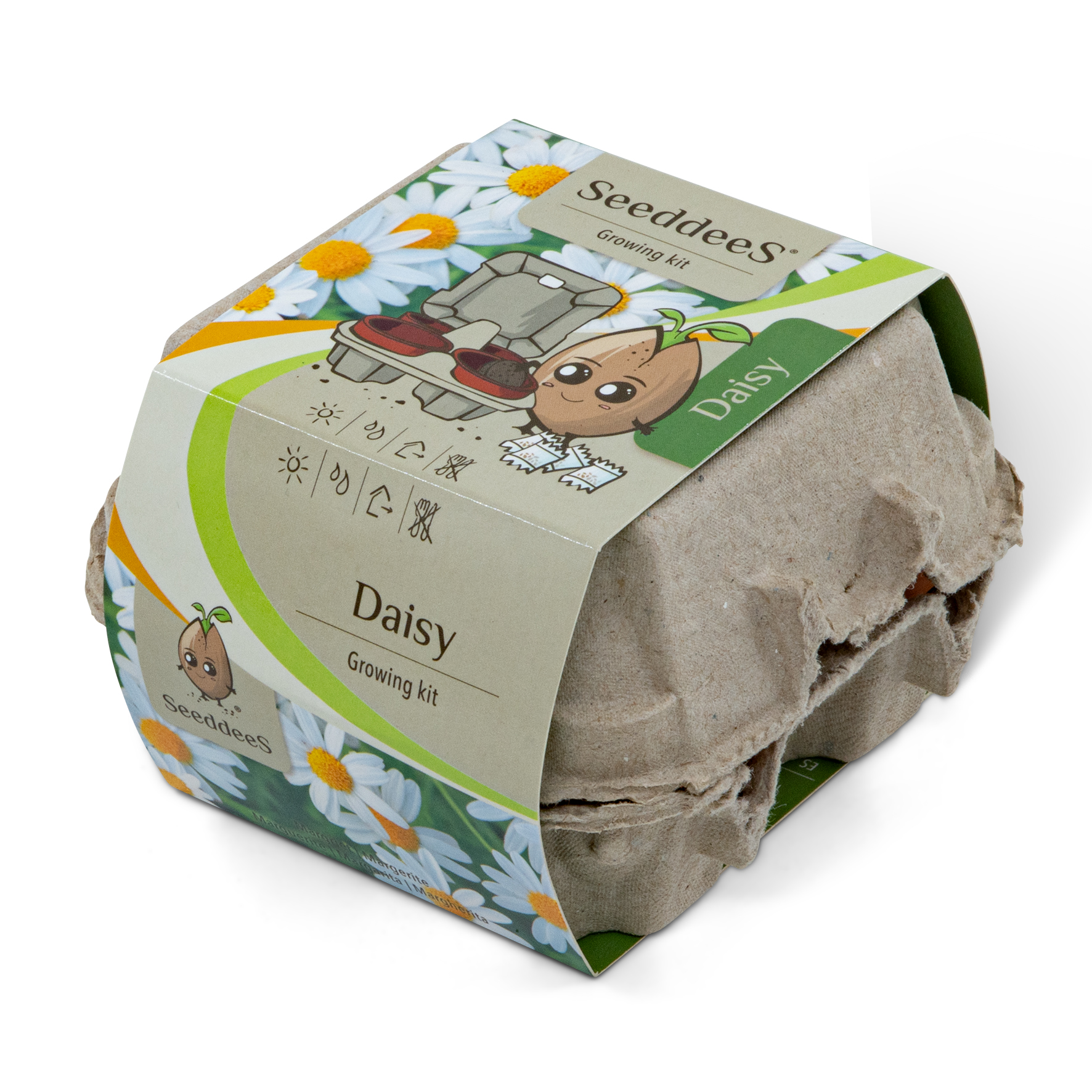 SeeddeeS® Margriet Kweekset - Eierdoosje